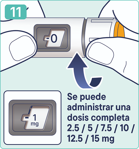 Instruction slide #11 - es
