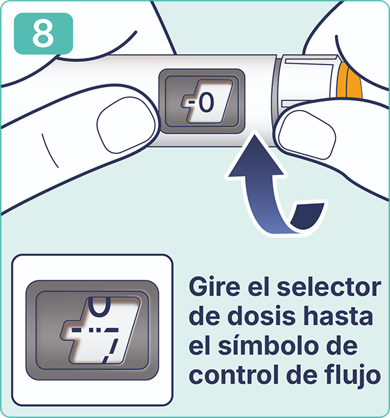 Instruction slide #8 - es